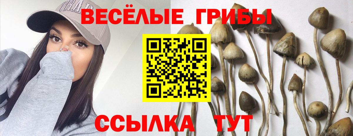 Псилоцибиновые грибы мухоморы  Вход с VPN  Галлюциногенные грибы Psilocybe  Магадан 